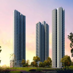 重庆市房地产开发网 全面解析项目详情与行业动态