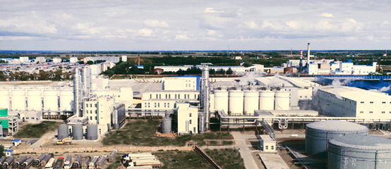 鸿展集团 匠心铸就品质，引领城市人居新篇章